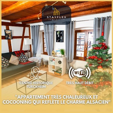 Apartament Refuge Des Vignerons - Turckheim Zewnętrze zdjęcie