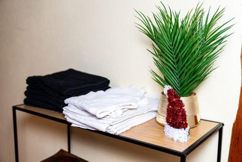 Apartament Refuge Des Vignerons - Turckheim Zewnętrze zdjęcie