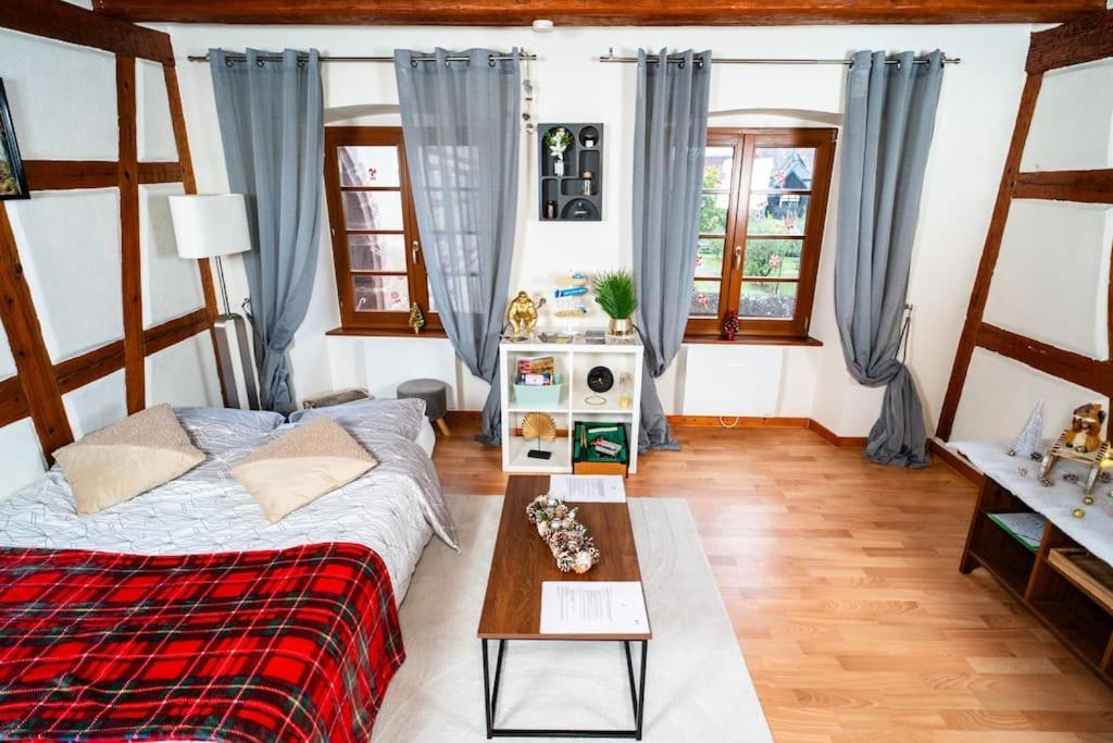 Apartament Refuge Des Vignerons - Turckheim Zewnętrze zdjęcie