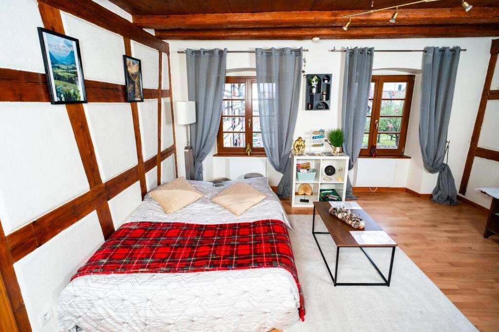 Apartament Refuge Des Vignerons - Turckheim Zewnętrze zdjęcie
