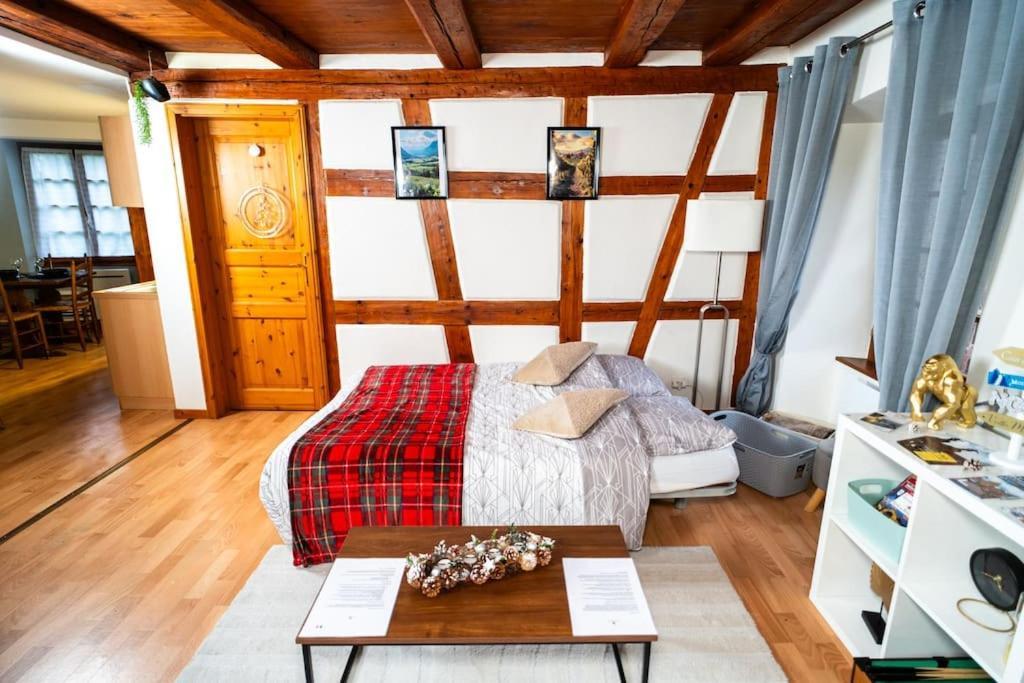 Apartament Refuge Des Vignerons - Turckheim Zewnętrze zdjęcie
